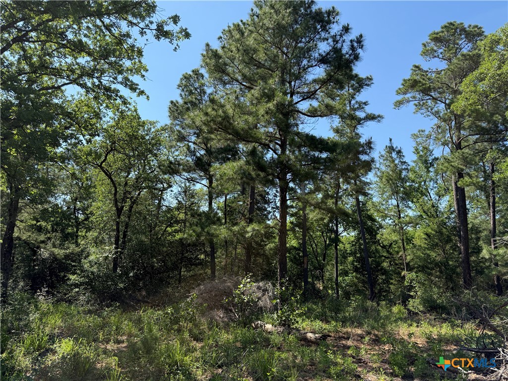 Cameron, Texas 75620, United States, ,Land,Active,138321