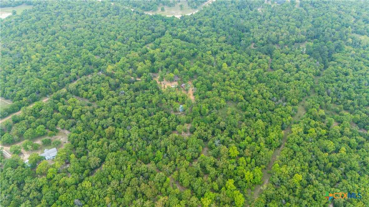 Cameron, Texas 75620, United States, ,Land,Active,138321