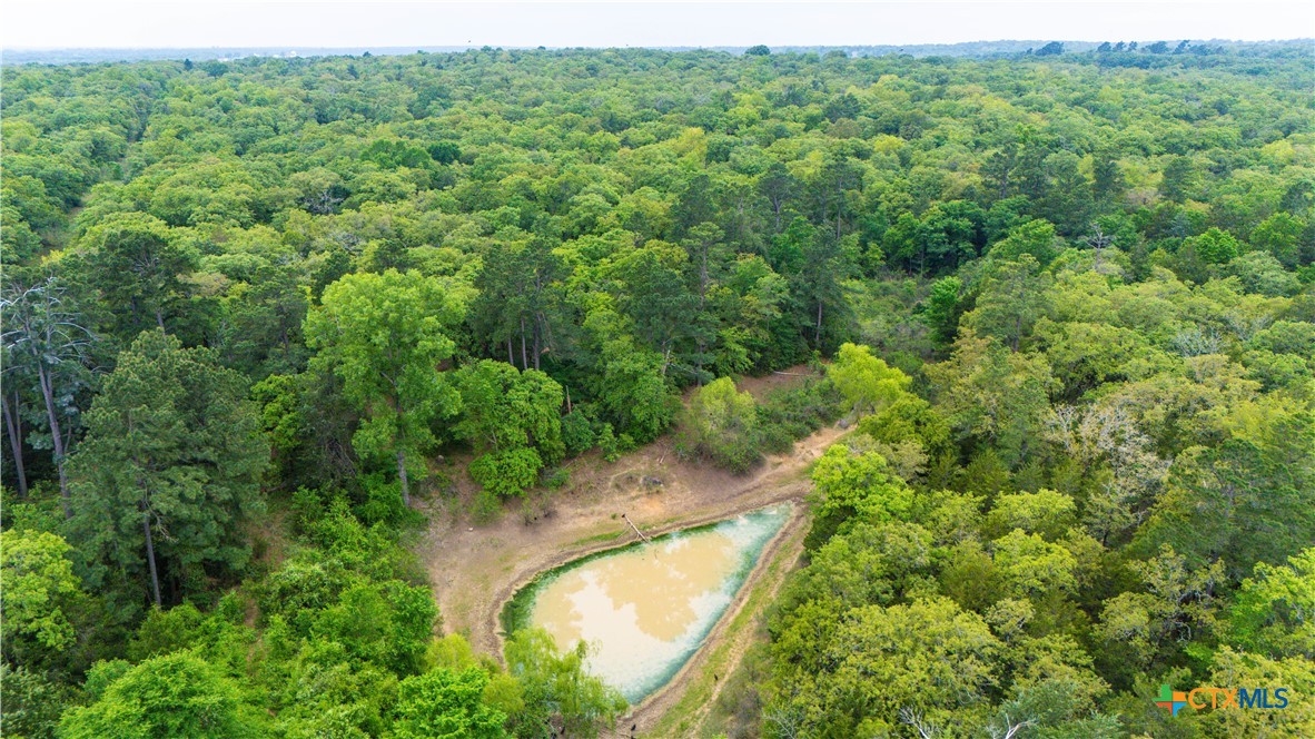 Cameron, Texas 75620, United States, ,Land,Active,138321