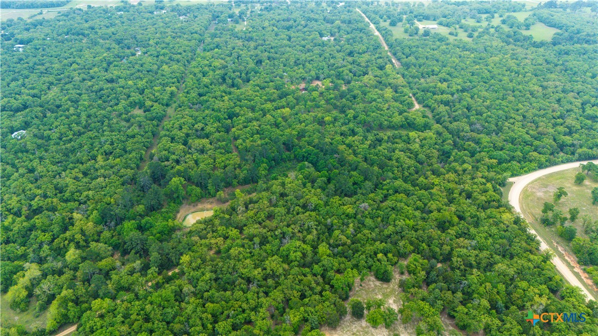 Cameron, Texas 75620, United States, ,Land,Active,138321