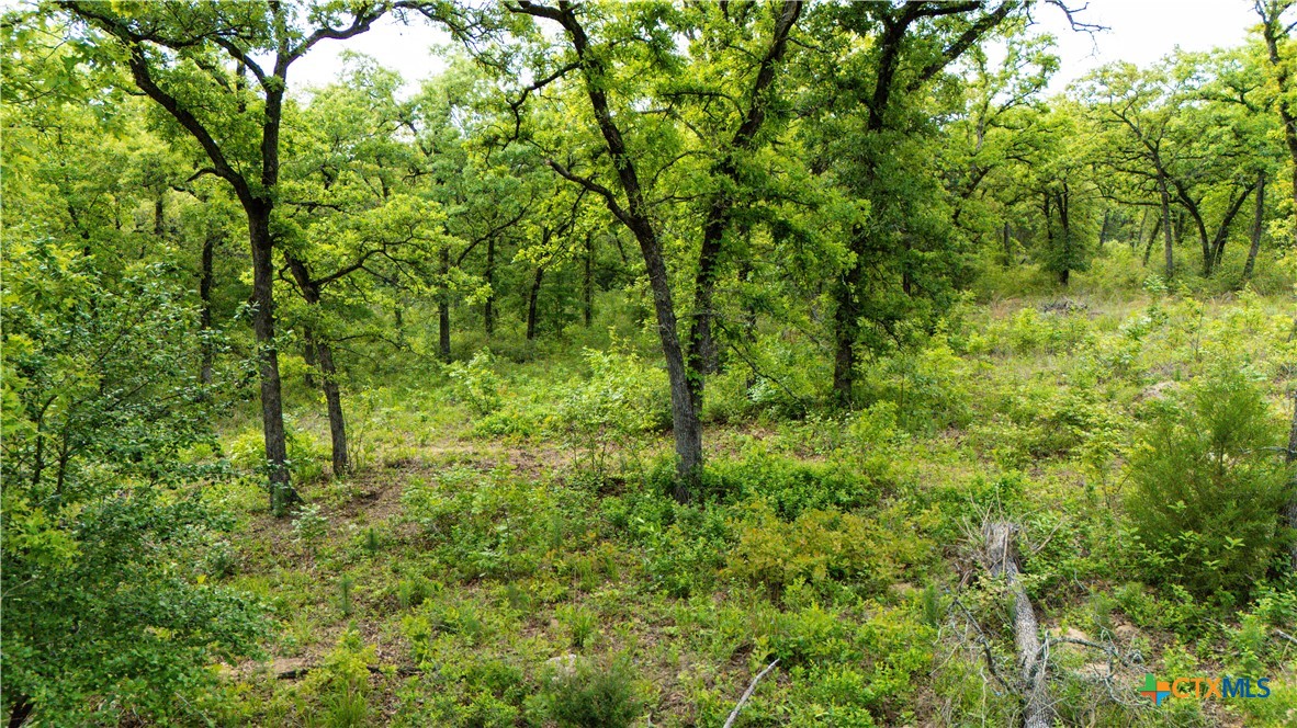 Cameron, Texas 75620, United States, ,Land,Active,138321