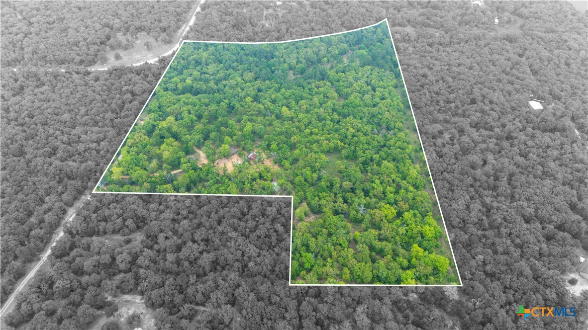 Cameron, Texas 75620, United States, ,Land,Active,138321