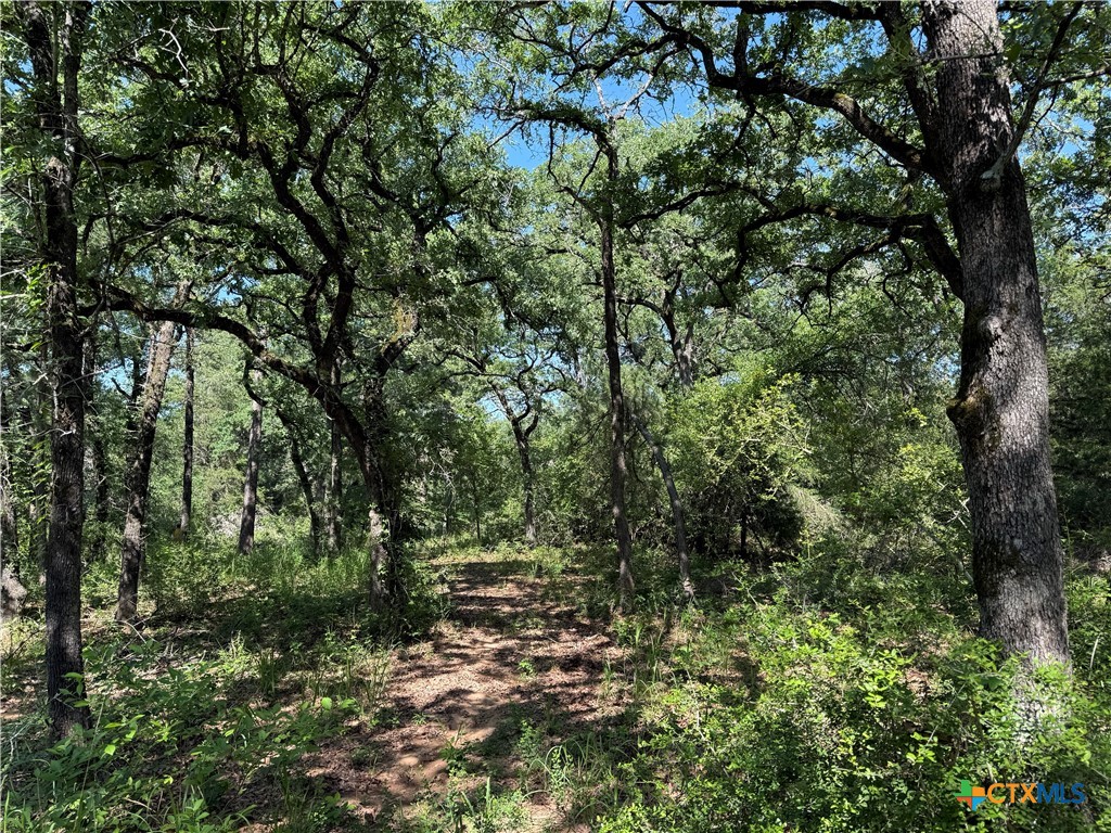 Cameron, Texas 75620, United States, ,Land,Active,138321