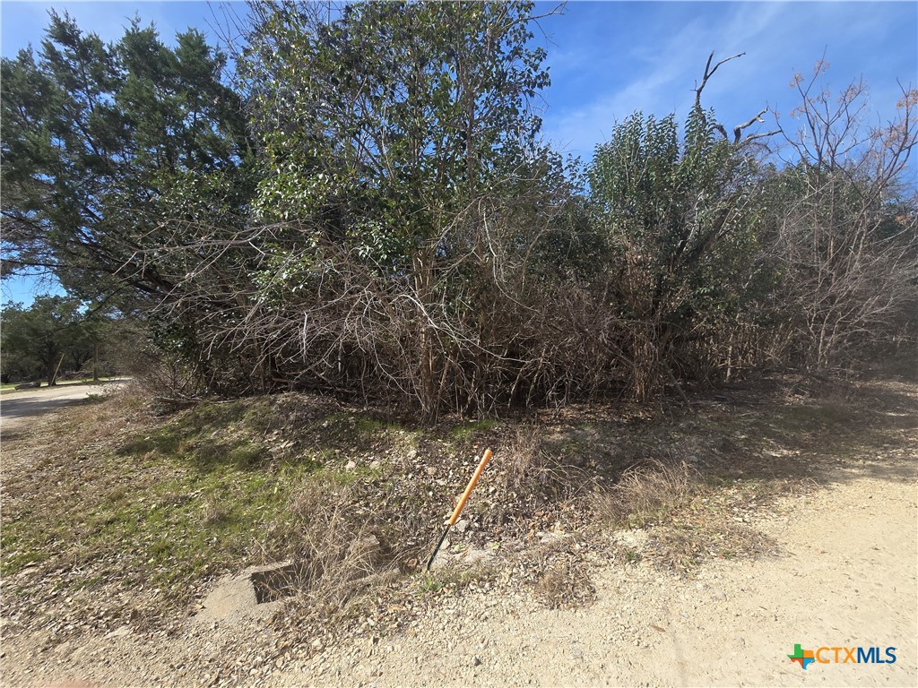 Photo 1 of 3 — TBD Estate Trail, Belton, TX 76513