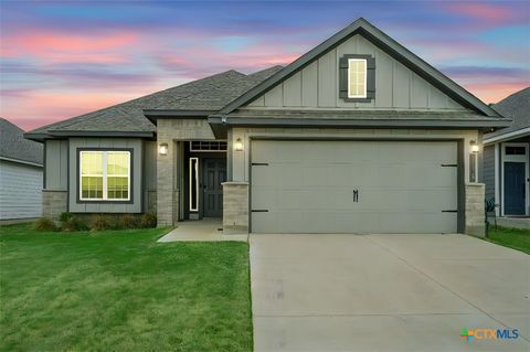 113 Lazy Lizzy Road Jarrell TX 76537