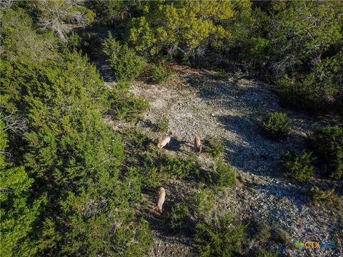 000 Blackbuck Trail Pipe Creek TX 78063