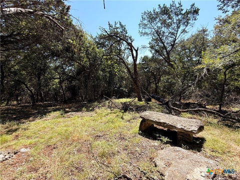 Photo of 5943 Carriage Road, Temple, TX 76502 (MLS # 621388)