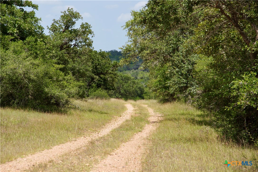 000 Fordtran Rd Tract 6