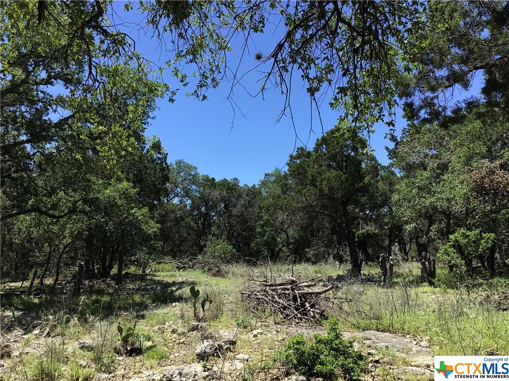 Photo 1 of 23 — 0 Drew Lane, New Braunfels, TX 78132