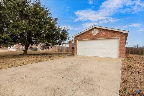 Photo of 4109 Rambling Range Drive, Killeen, TX 76549 (MLS # 603043)