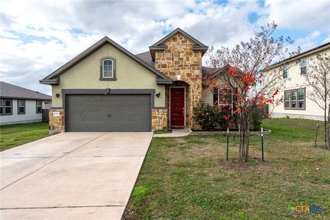 19300 Elk Horn Drive Pflugerville TX 78660