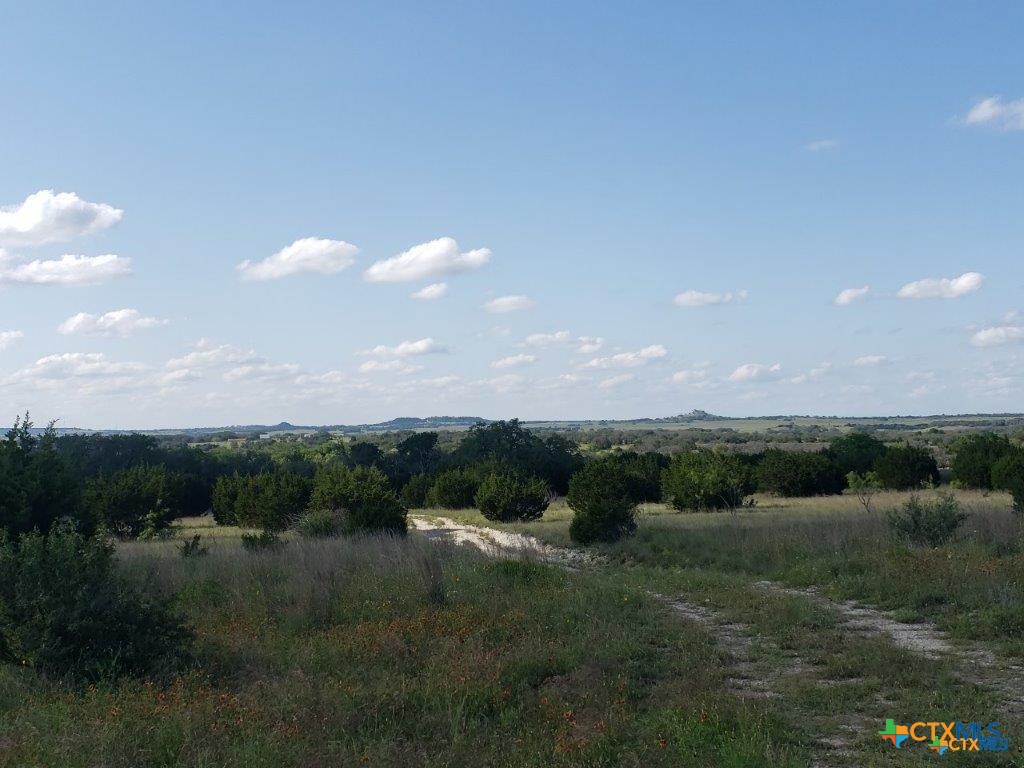 Lot 4 County Road 1255 Pitt Creek Ranch