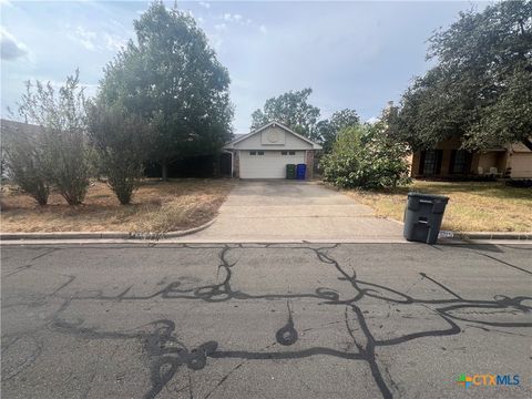 206 Meadow Brook Dale TX 78616