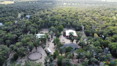 1440 Nockenut Road Seguin TX 78155