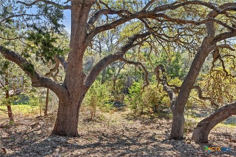Photo of 111 La Luna Drive, Blanco, TX 78606 (MLS # 588024)