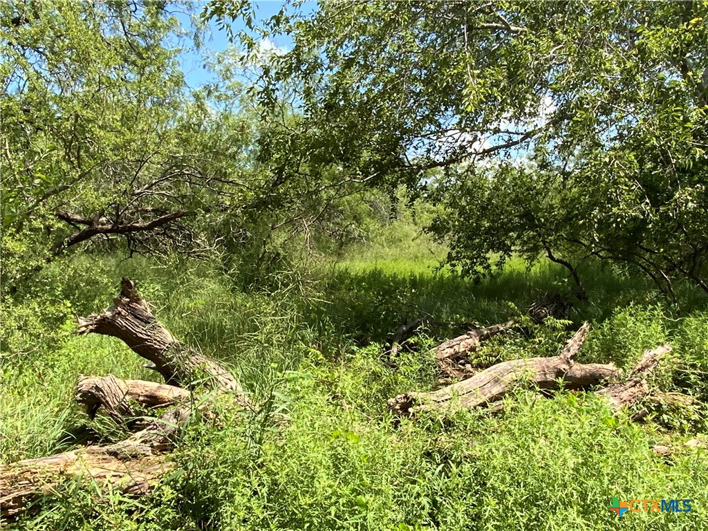 4 County Road 1144 4