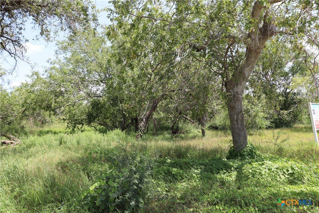 4 County Road 1144 4