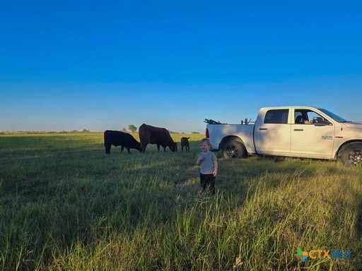 4321 County Road 220