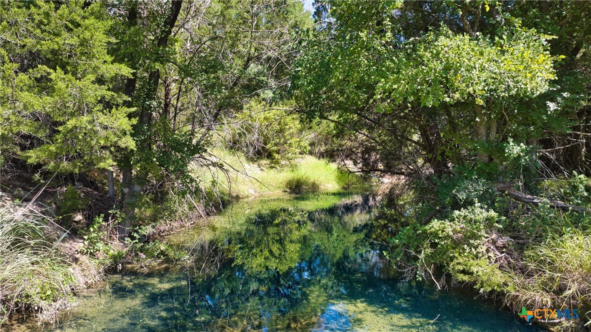 19131 Wolfridge Road