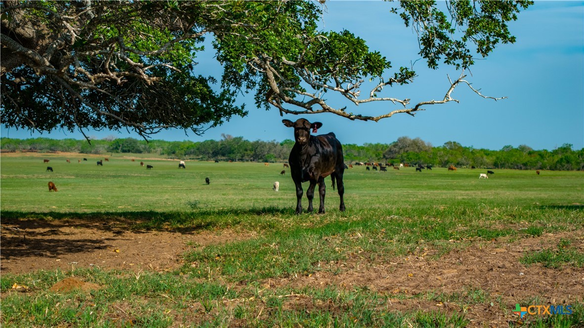 TBD County Road 404