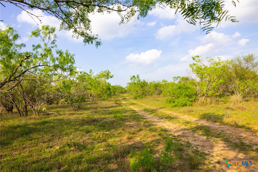 000 Old Seguin Luling Rd