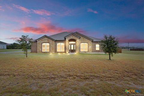 Photo of 156 Chantry Lane, Gatesville, TX 76528 (MLS # 598583)