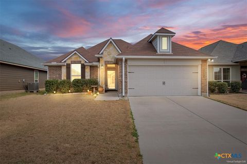 Photo of 1223 NW Kiskadee Branch Branch, Temple, TX 76502 (MLS # 605213)