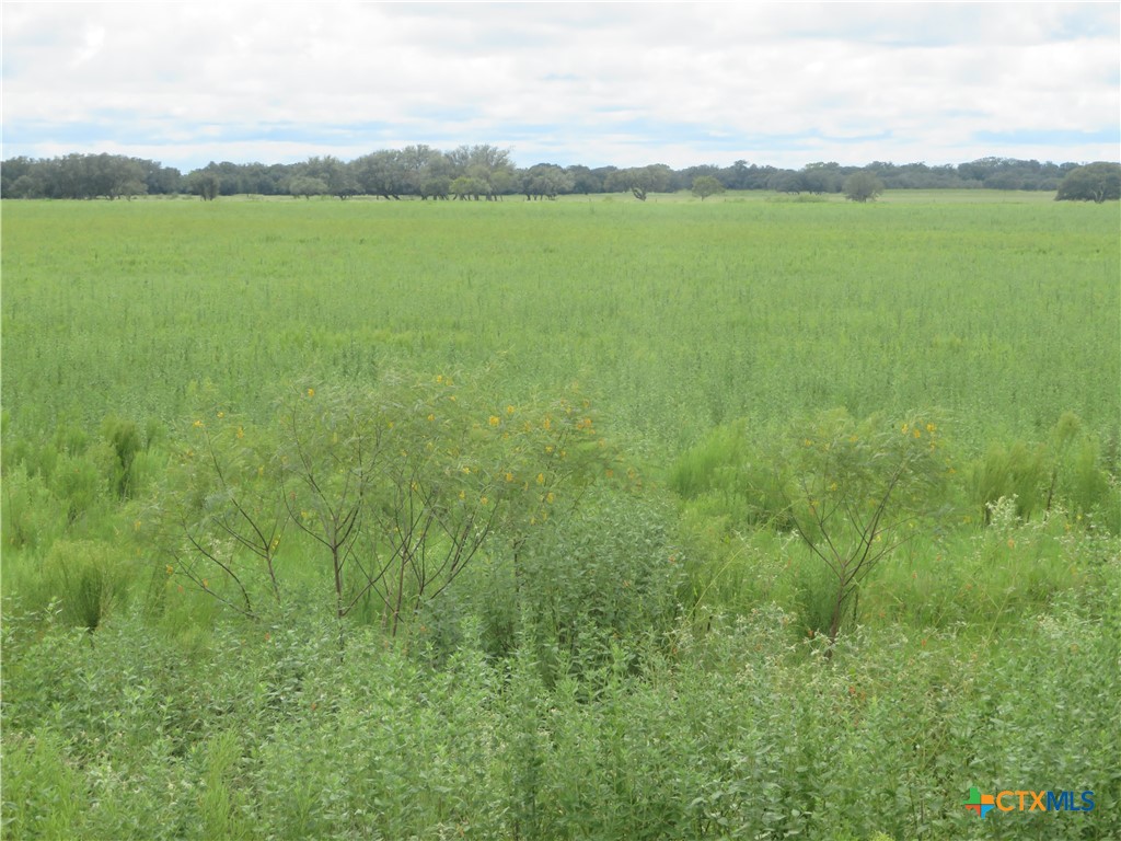 0 CO RD 127