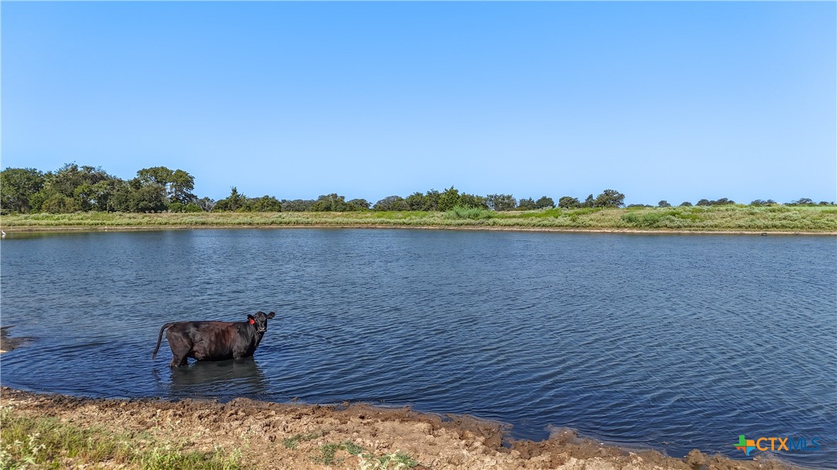 TBD Tract 7 County Road 326