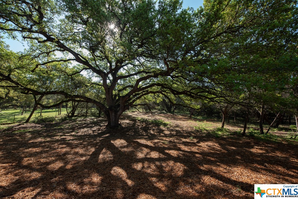 New Braunfels, Texas 78132, United States, ,Land,Active,61881