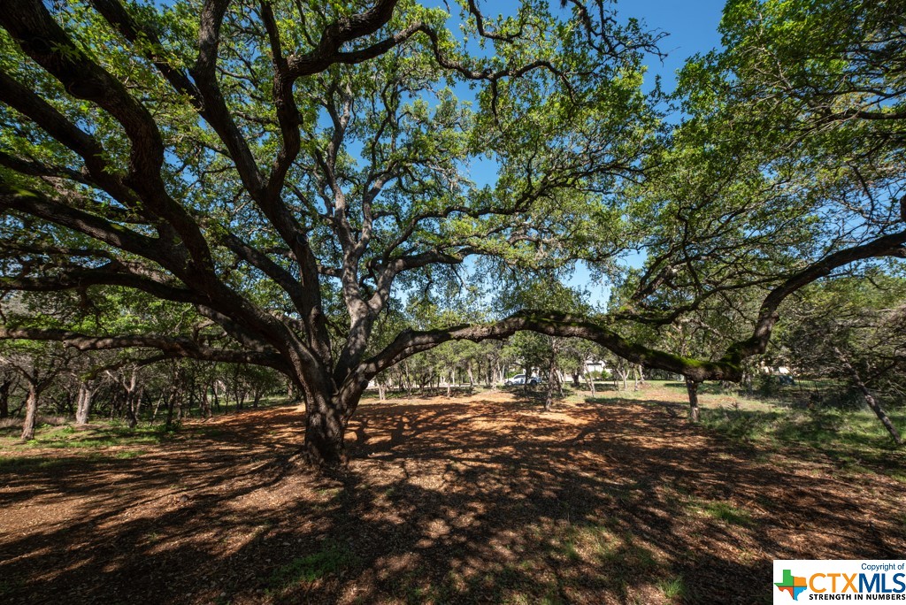 New Braunfels, Texas 78132, United States, ,Land,Active,61881