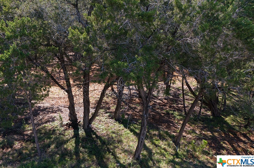 New Braunfels, Texas 78132, United States, ,Land,Active,61881