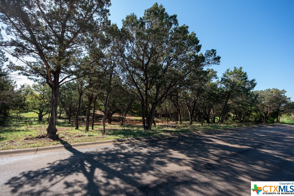 New Braunfels, Texas 78132, United States, ,Land,Active,61881