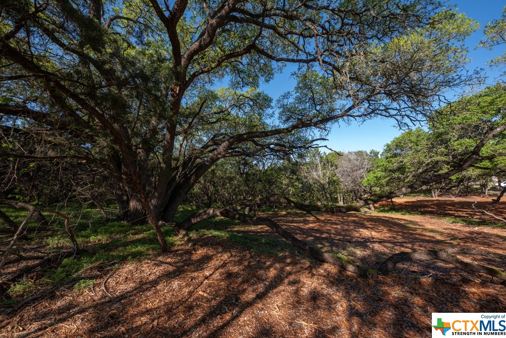 New Braunfels, Texas 78132, United States, ,Land,Active,61881