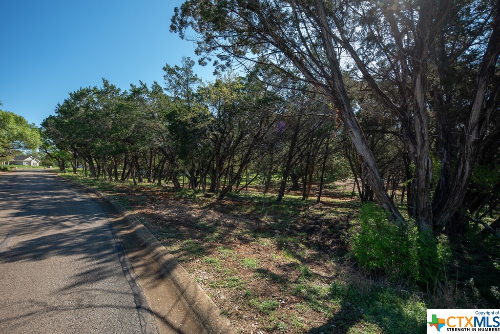 New Braunfels, Texas 78132, United States, ,Land,Active,61881