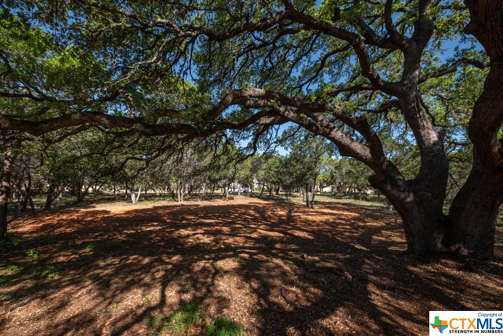 New Braunfels, Texas 78132, United States, ,Land,Active,61881