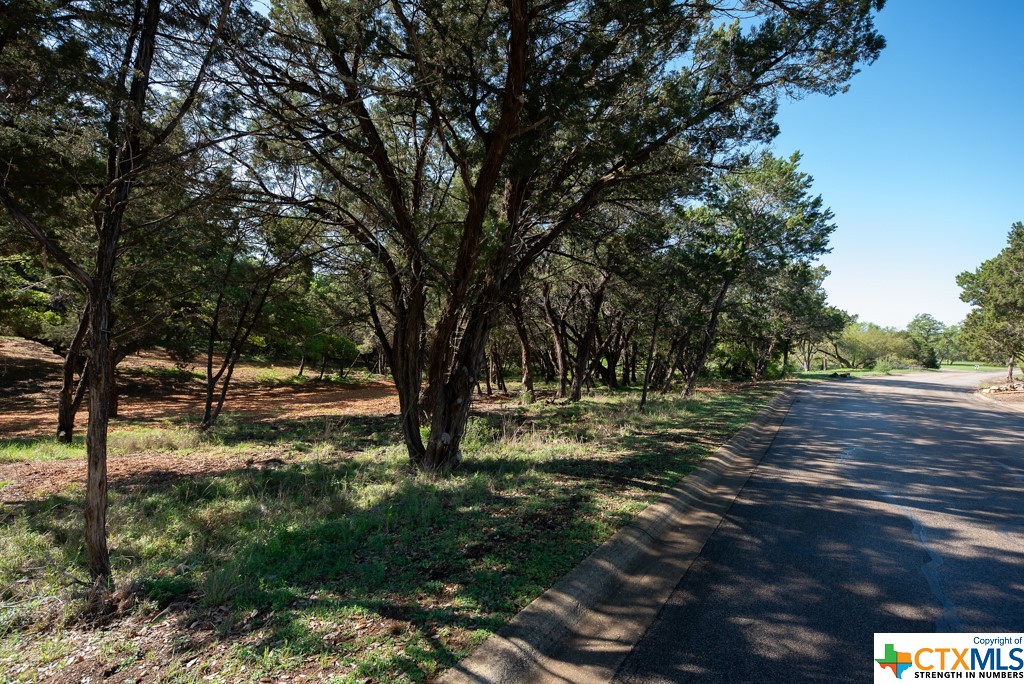 New Braunfels, Texas 78132, United States, ,Land,Active,61881