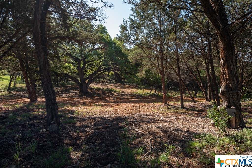 New Braunfels, Texas 78132, United States, ,Land,Active,61881