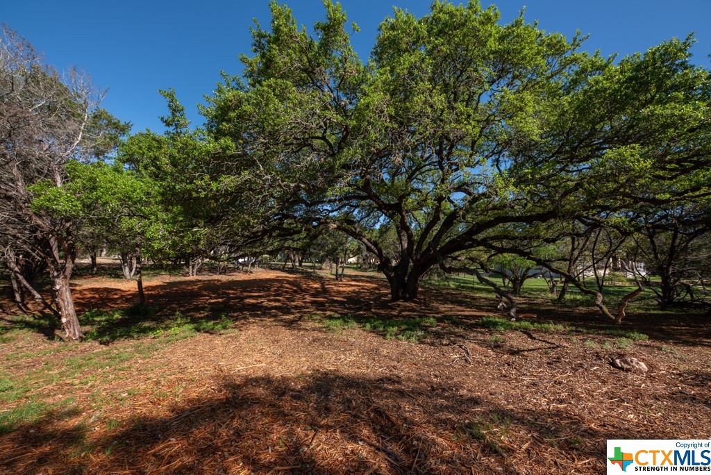 New Braunfels, Texas 78132, United States, ,Land,Active,61881