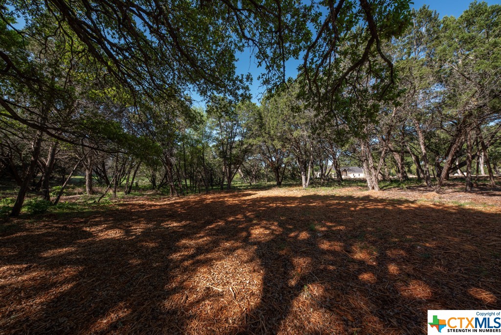 New Braunfels, Texas 78132, United States, ,Land,Active,61881