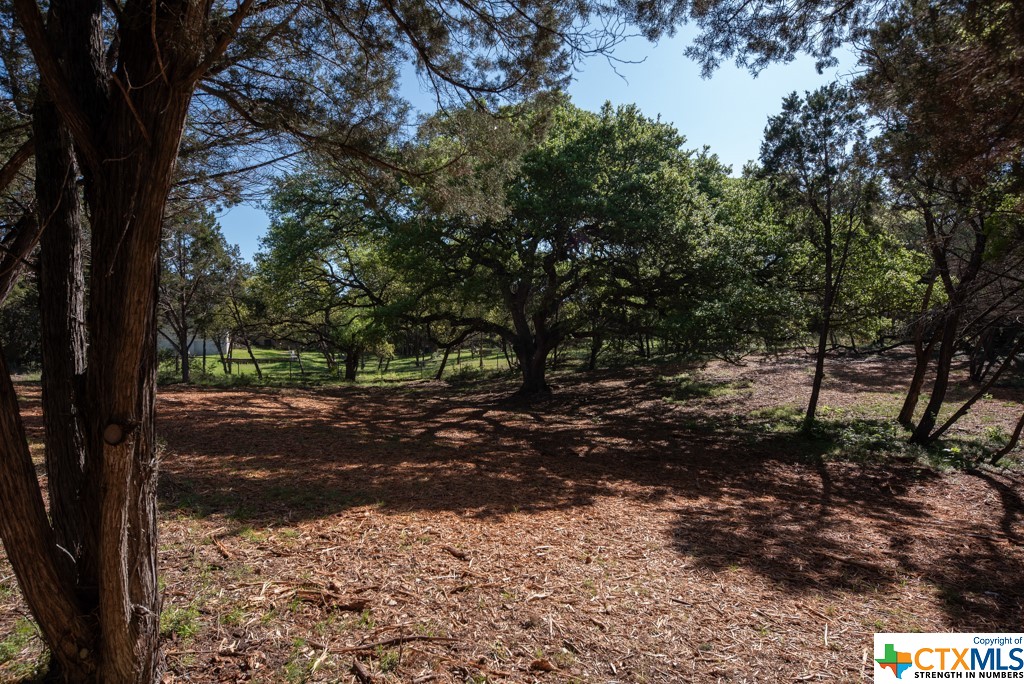 New Braunfels, Texas 78132, United States, ,Land,Active,61881