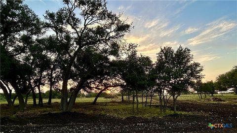 Photo of 101 PR 1295, Lampasas, TX 76550 (MLS # 613141)