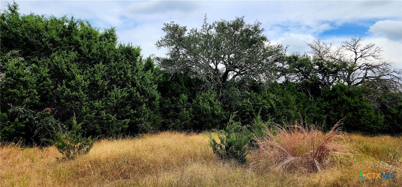 1653 County Road 4953