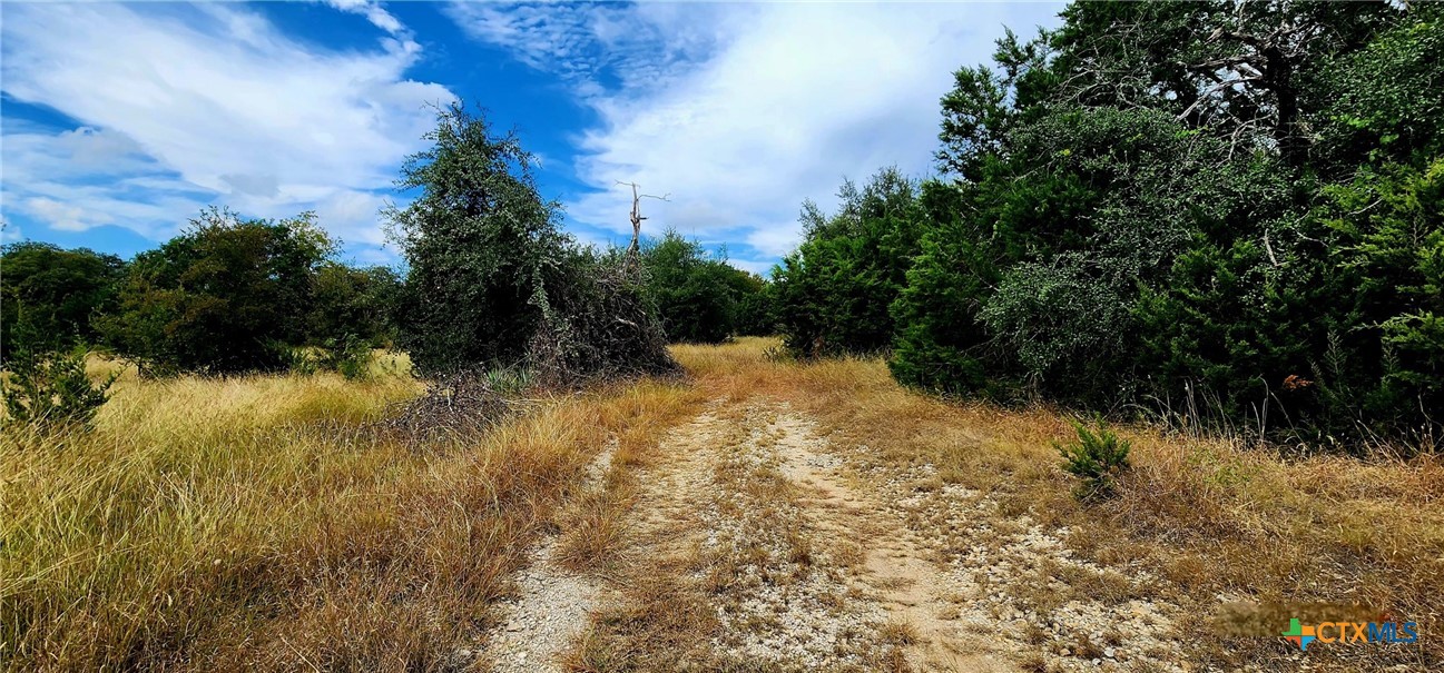 1653 County Road 4953