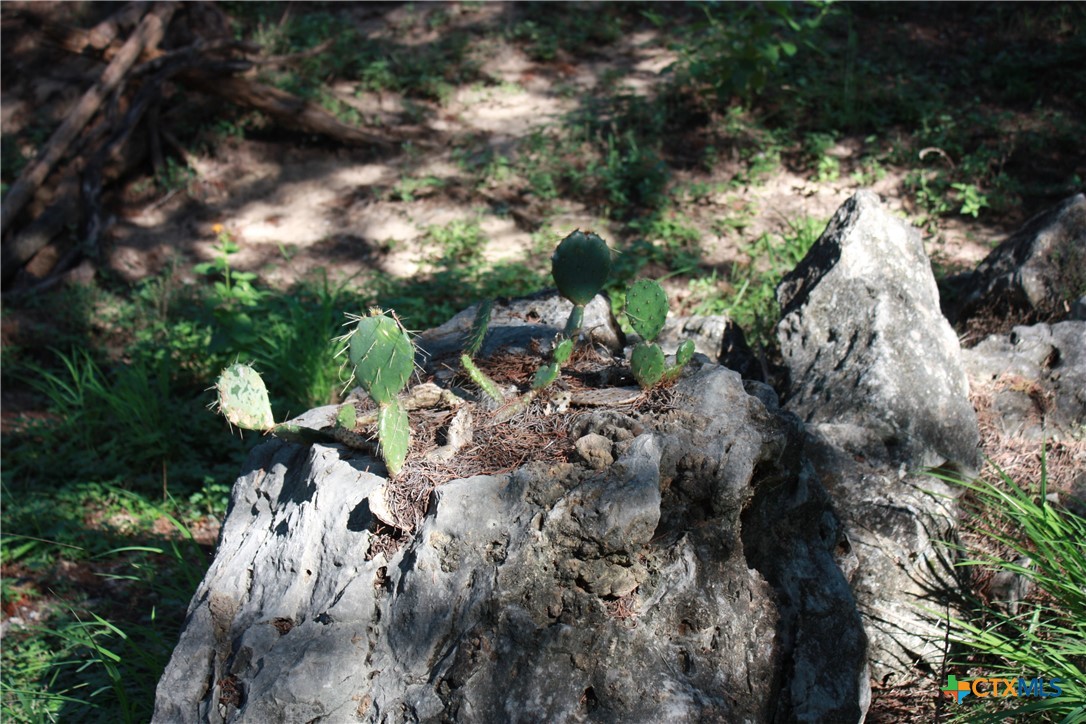 New Braunfels, Texas 78132, United States, 3 Bedrooms Bedrooms, ,2 BathroomsBathrooms,Residential,Pending,53999