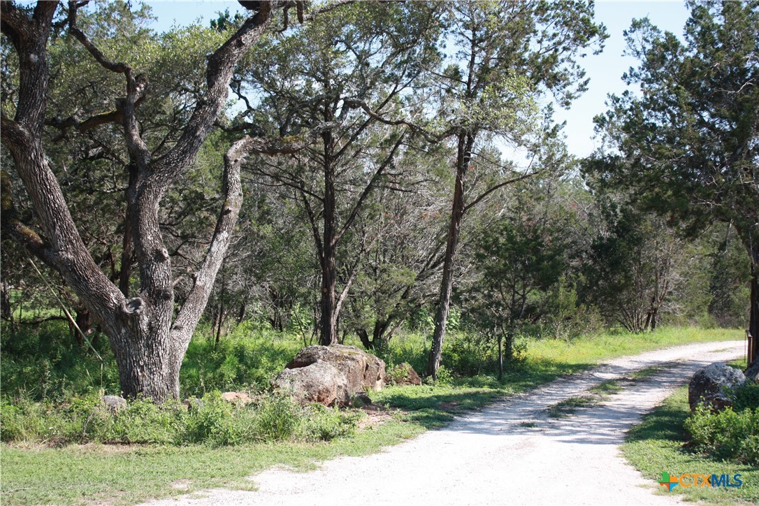 New Braunfels, Texas 78132, United States, 3 Bedrooms Bedrooms, ,2 BathroomsBathrooms,Residential,Pending,53999