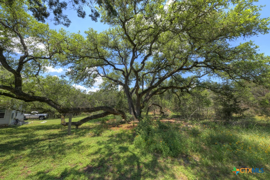 New Braunfels, Texas 78132, United States, 3 Bedrooms Bedrooms, ,2 BathroomsBathrooms,Residential,Pending,53999