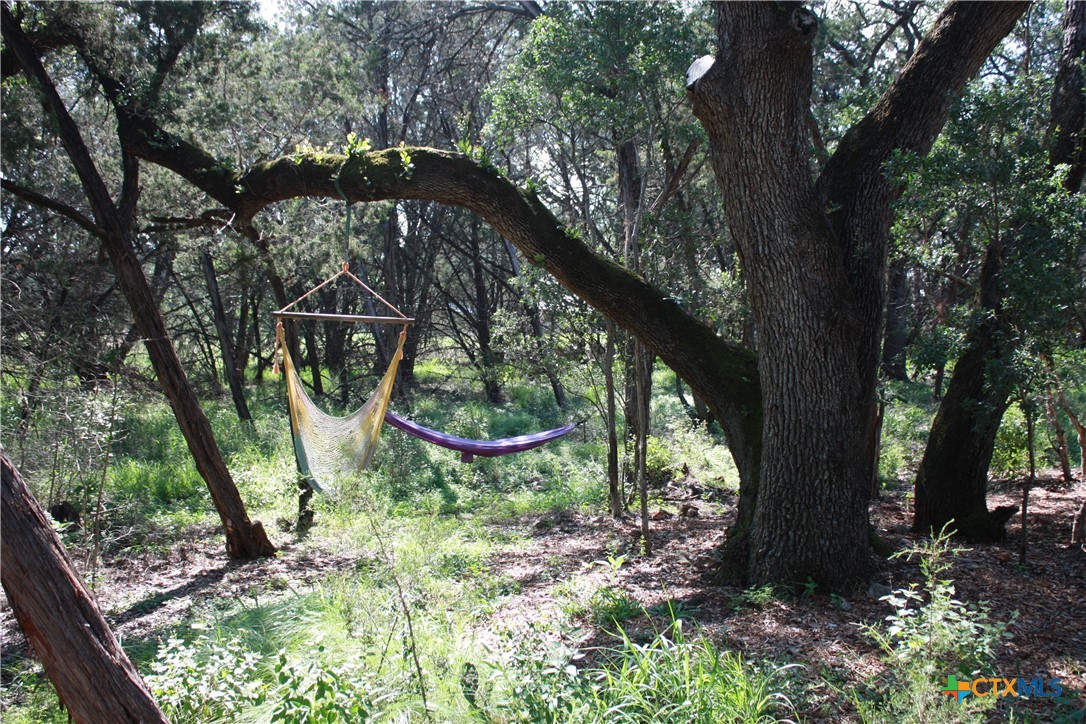 New Braunfels, Texas 78132, United States, 3 Bedrooms Bedrooms, ,2 BathroomsBathrooms,Residential,Pending,53999