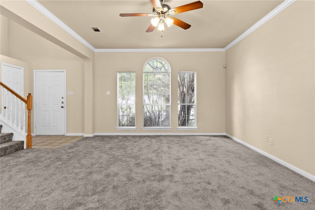 118 Lone Shadow Drive