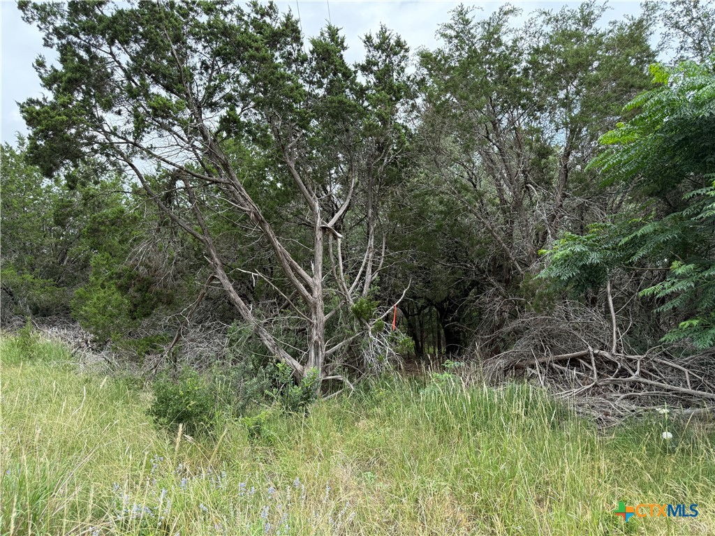 TBD Salado Oaks Street